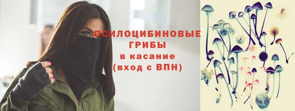 винт Гусев