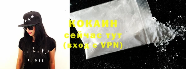 винт Гусев