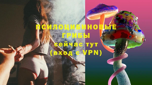 винт Гусев