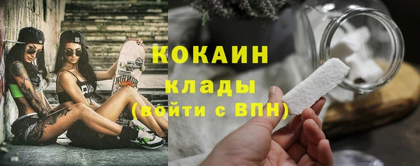 винт Гусев
